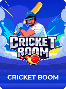 dkwin cricket room
